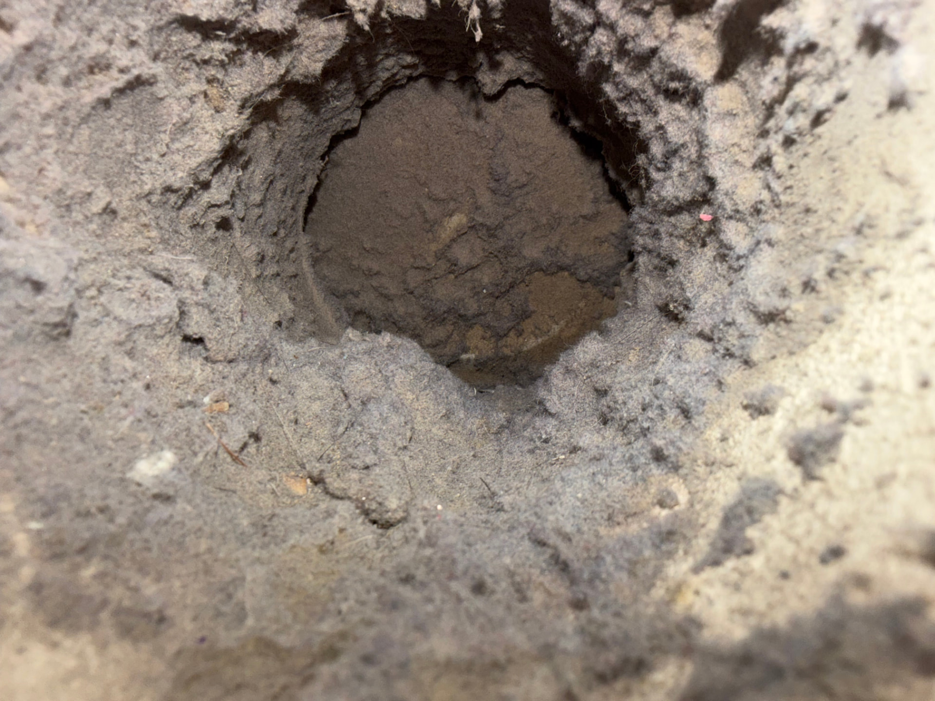 Dryer Vent Cleaning before Ridgeline cleaning — Heavy lint buildup removed